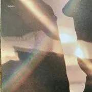 Tamの画像