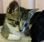 ゆっこ(*μ_μ)○の画像