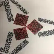 P1010の画像