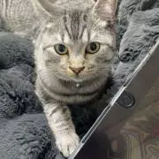 ymの画像