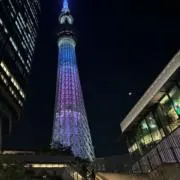 Rの画像