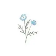 ふむふむ☘️いいねでお得情報あり⭐️