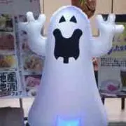 たっちゃちゃちゃの画像