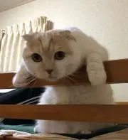 Naoki M