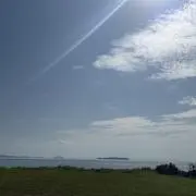 Mの画像