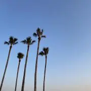 Chrisの画像