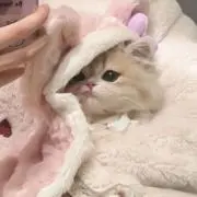 ぬん