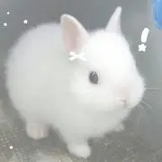 ラル♡の画像