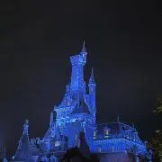 サナギの画像