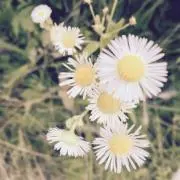 TT5の画像
