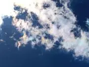 くじらの画像