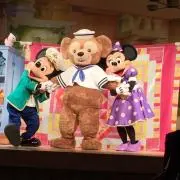 ピッポの画像