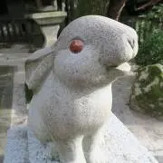 あんの画像