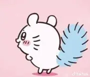 momomomo.の画像