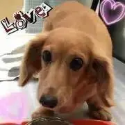 私も断捨離中ですの画像