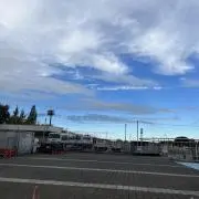 ピヨピヨの画像