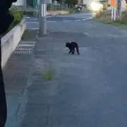 つめの画像