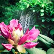 ハピ⭐︎の画像
