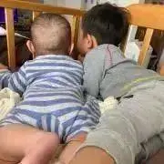 みーたろーの画像