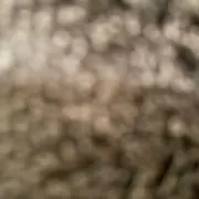 Feeまとめ割有の画像
