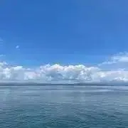 auの画像