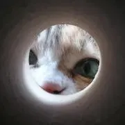 ras