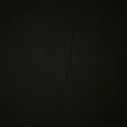 8月
