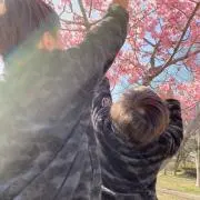 ちゃもの画像