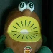 SHINの画像