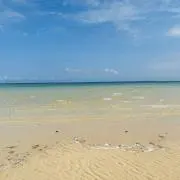 Toshiの画像