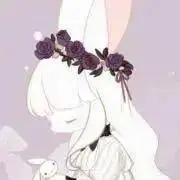 あんずの画像
