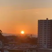 ひまわりの画像