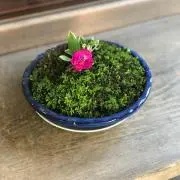 万屋