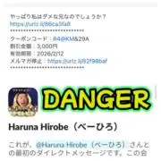 No 橋本の画像