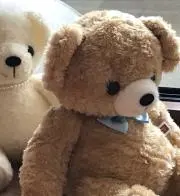 木の葉　24時間以内発送の画像
