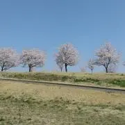 いちのの画像
