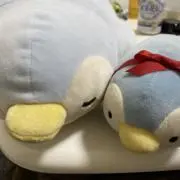 猫ぺんぎんの画像