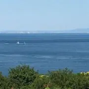 温海の画像