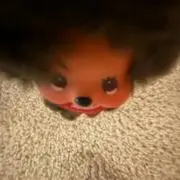 らんの画像