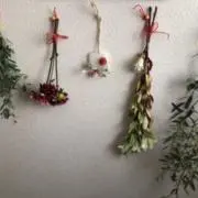 yuumamaの画像