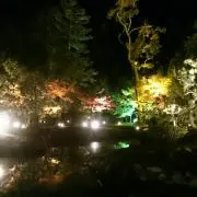 なつの画像