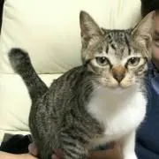 とらきち