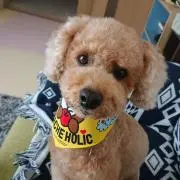 真稀斗の画像