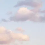 ㄹ ㅎ
