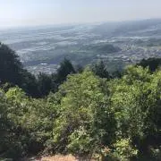 ロロロの画像