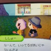 ぽこの画像