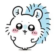 momoの画像