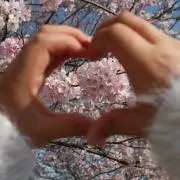 めありぃ