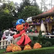 えぴの画像
