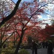 じょんなさんの画像
